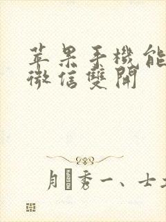 苹果手机能用的微信双开