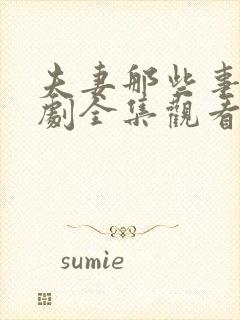 夫妻那些事电视剧全集观看