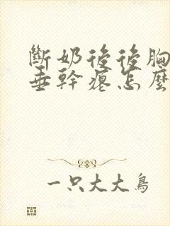 断奶后后胸部下垂干瘪怎么办