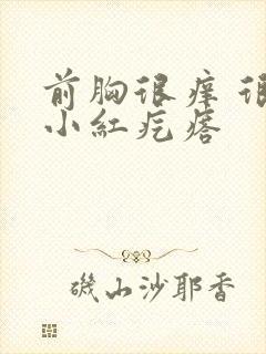 前胸很痒 很多小红疙瘩