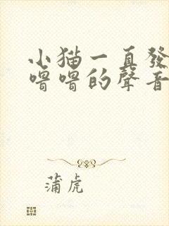 小猫一直发出咕噜噜的声音