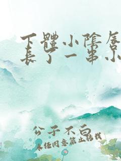 下体小阴唇内侧长了一串小丘疹