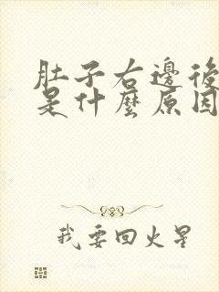 肚子右边后面疼是什么原因