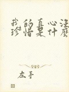 我的真心没有人珍惜是什么歌