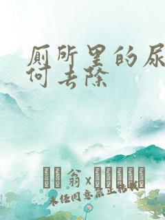 厕所里的尿垢如何去除