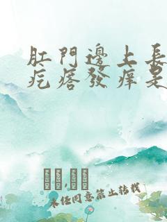 肛门边上长了个疙瘩发痒是怎么回事