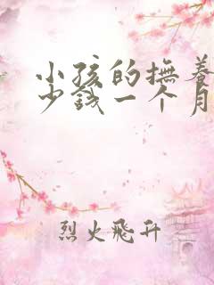 小孩的抚养费多少钱一个月