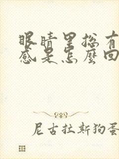 眼睛里总有异物感是怎么回事