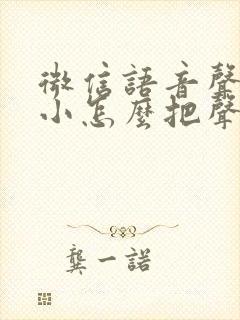 微信语音声音很小怎么把声音调大