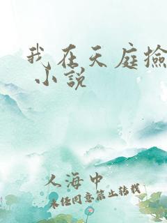 我在天庭捡垃圾 小说