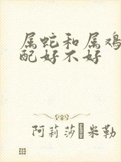 属蛇和属鸡的婚配好不好