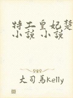 特工皇妃楚乔传小说 小说