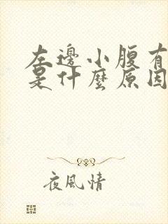 左边小腹有硬块是什么原因了