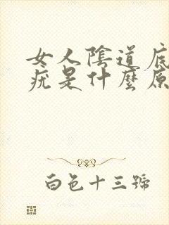 女人阴道底下长疣是什么原因