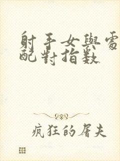 射手女与处女男配对指数