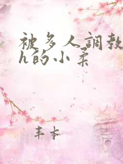 被多人调教失禁h的小柔