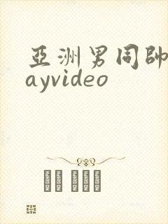 亚洲男同帅哥gayvideo