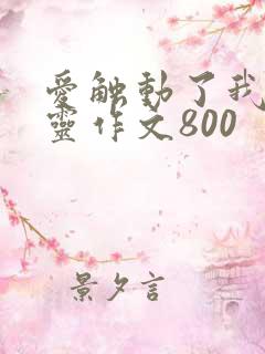 爱触动了我的心灵作文800