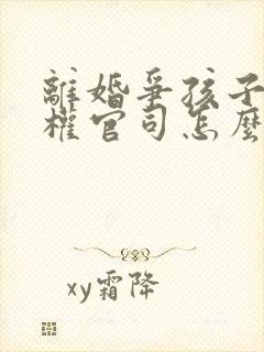 离婚争孩子抚养权官司怎么打