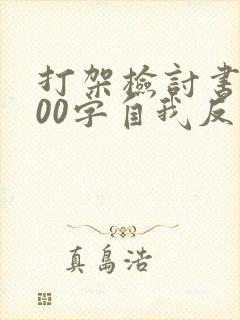 打架检讨书3000字自我反省