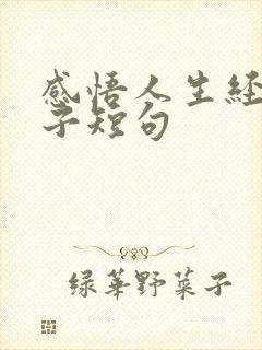 感悟人生经典句子短句