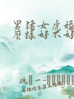 男猪女虎婚姻怎么样好不好