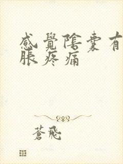 感觉阴囊有点坠胀疼痛