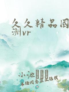 久久精品国产亚洲vr