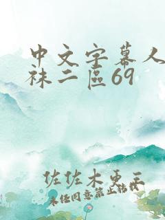 中文字幕人妻丝袜二区69