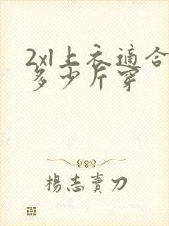 2xl上衣适合多少斤穿