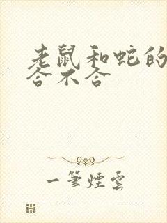 老鼠和蛇的属相合不合