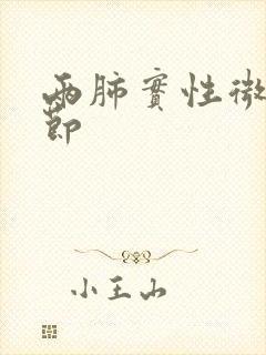 两肺实性微小结节