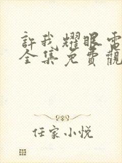 许我耀眼电视剧全集免费观看29集