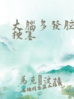 大脑多发腔隙性梗塞