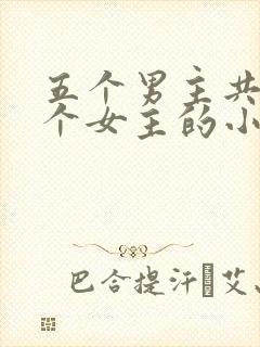 五个男主共享一个女主的小说