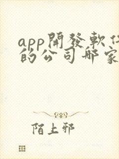 app开发软件的公司哪家好