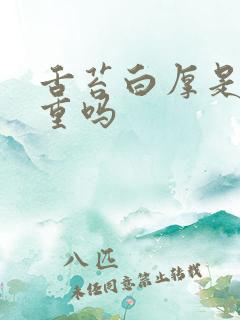 舌苔白厚是湿气重吗