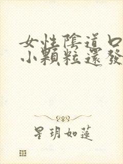 女性阴道口痒有小颗粒还发臭