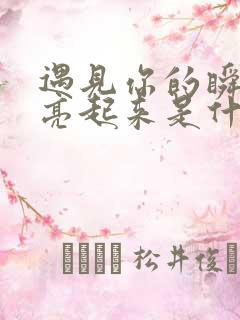 遇见你的瞬间明亮起来是什么歌