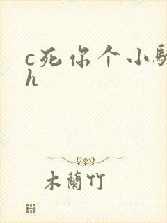 c死你个小骚货h