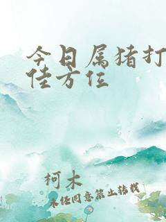 今日属猪打牌最佳方位