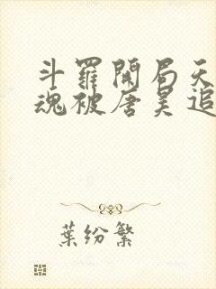 斗罗开局天使武魂被唐昊追杀下载