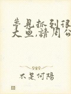 梦见抓到很多条大鱼,请周公解梦