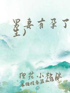 男妻有孕了(重生)