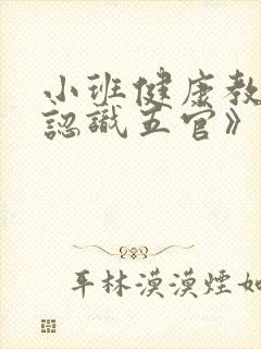 小班健康教案《认识五官》