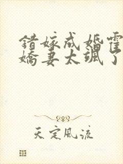 错嫁成婚霍少小娇妻太飒了