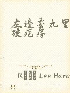 左边睾丸里有个硬疙瘩