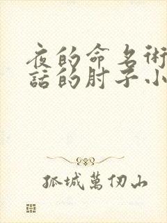 夜的命名术会说话的肘子小说最新章节帝