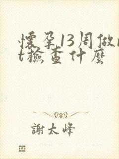 怀孕13周做nt检查什么