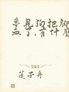 梦见狗把脚咬出血了,有什么预兆